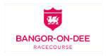 Book Racecourse Hospitality at Bangor Racecourse