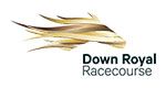 Book Racecourse Hospitality at Down Royal Racecourse