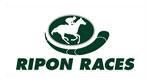 Book Racecourse Hospitality at Ripon Racecourse
