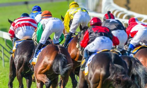 Racecourse-Hospitality Racecourse-Hospitality