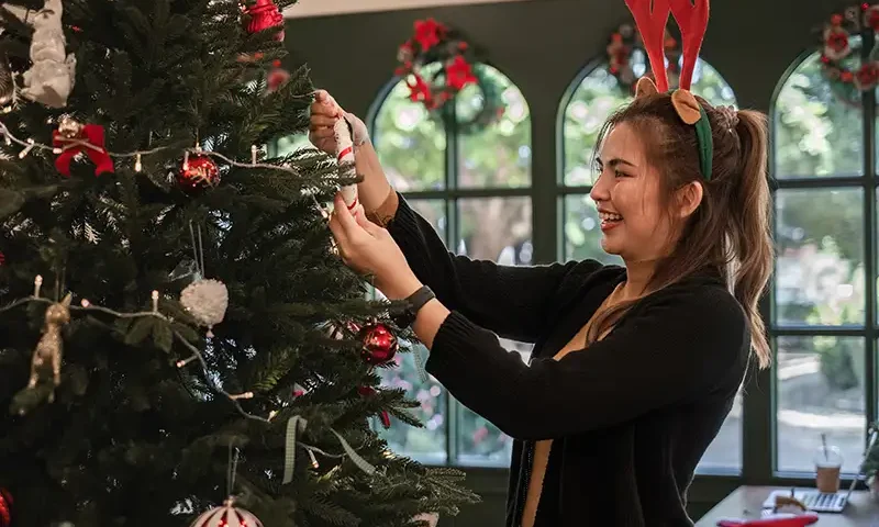 merry-christmas-a-beautiful-young-woman-dressed-in-2023-11-27-04-51-41-utc copy Christmas at Work