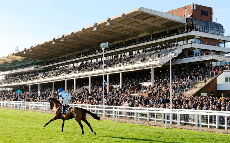 Cheltenham Racecourse Hospitality November Meeting 1