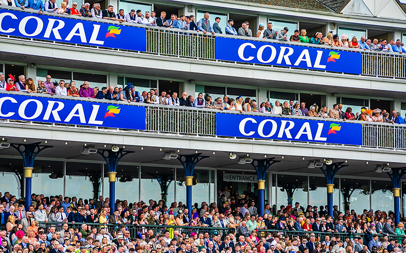 Ayr Racecourse Hospitality Princess Royal Boxes 1