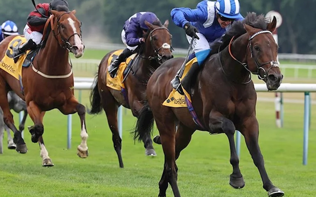 Haydock Park Racecourse Hospitality Hero