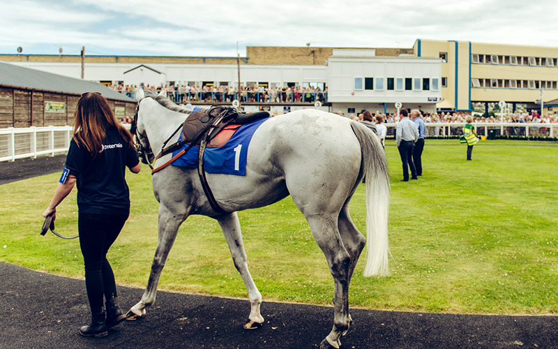 Newton Abbot Racecourse Hospitality 1
