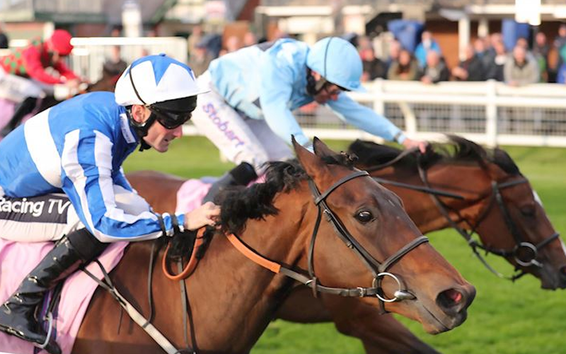 Carlisle Racecourse Hospitality General 2