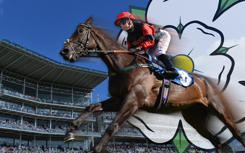 Dine and View in Yorkshire Racecourse Hospitality